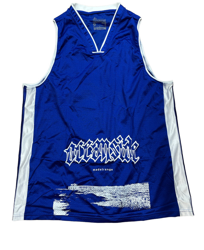 Spike Jersey (Royal/White)